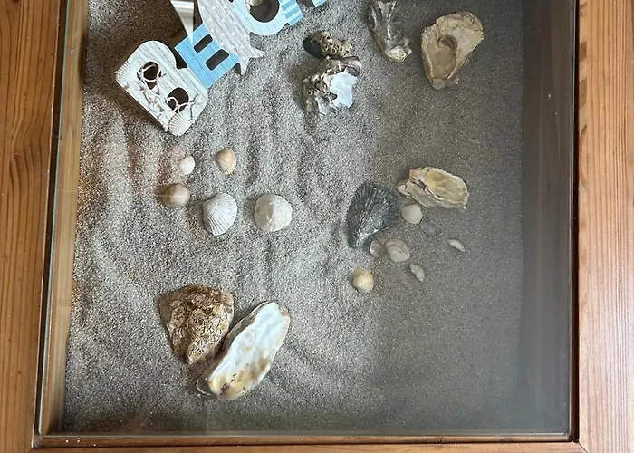 Apartamento Elli's Küstenherz *